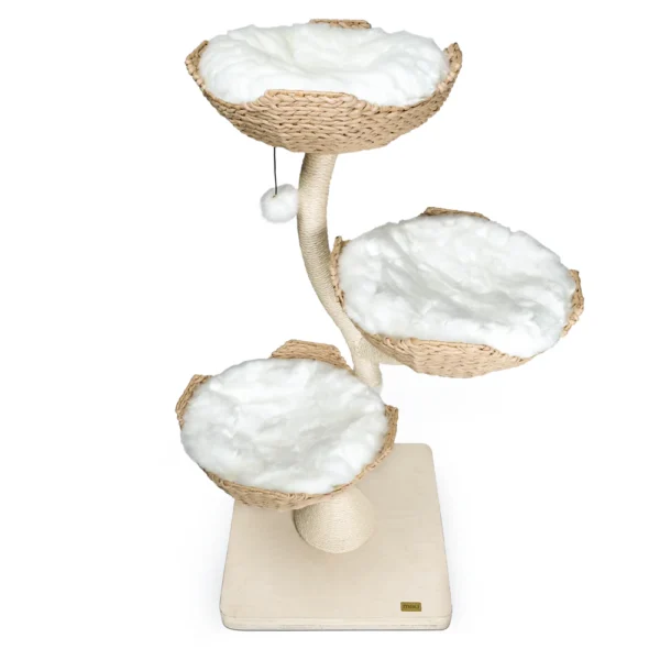 Ivy 3 - Image 6