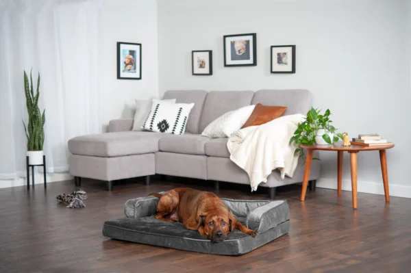 Sofa Dog Bed - Plush & Velvet Comfy Couch - Image 13