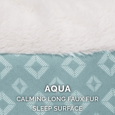 Aqua