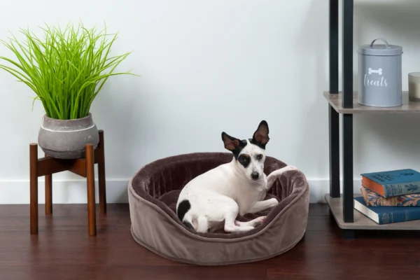 Oval Dog Bed - Plush & Velvet - Image 16