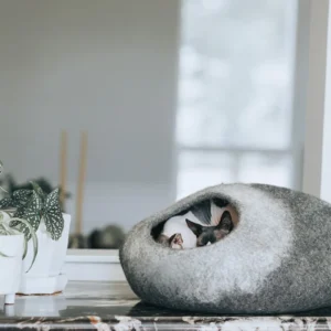Skyline Cat Cave