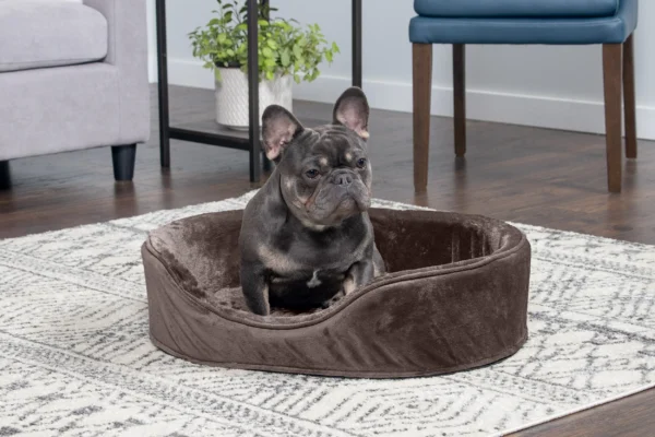 Oval Dog Bed - Plush & Velvet - Image 17