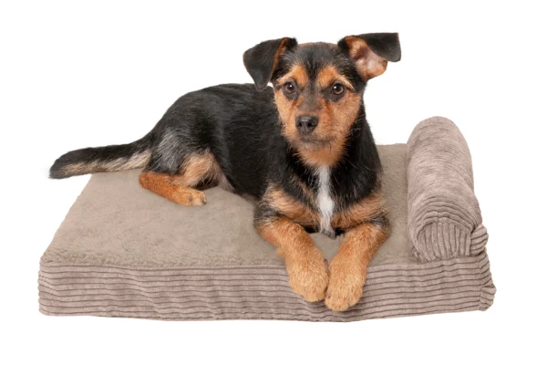 Chaise Lounge Dog Bed - Faux Fleece & Corduroy - Image 43