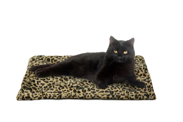 Faux Fur Self-Warming Pet Bed Mat - Image 6