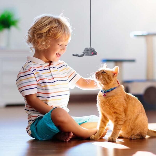 Hanging Cat Scratch Mouse - Image 7