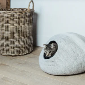 Horizon Cat Cave