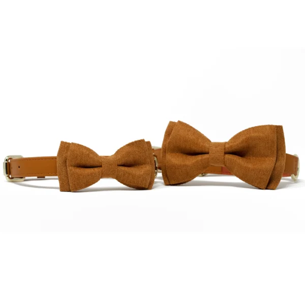 Bow Tie - Tangerine Orange - Image 5
