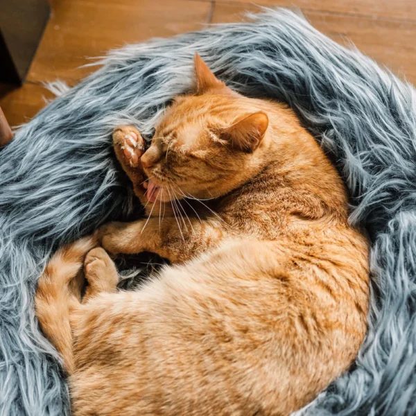Fluffi Donut - Image 10