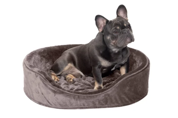 Oval Dog Bed - Plush & Velvet - Image 21