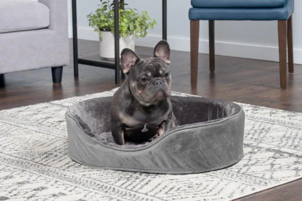Oval Dog Bed - Plush & Velvet - Image 18