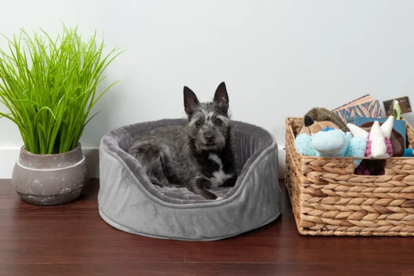 Oval Dog Bed - Plush & Velvet - Image 13