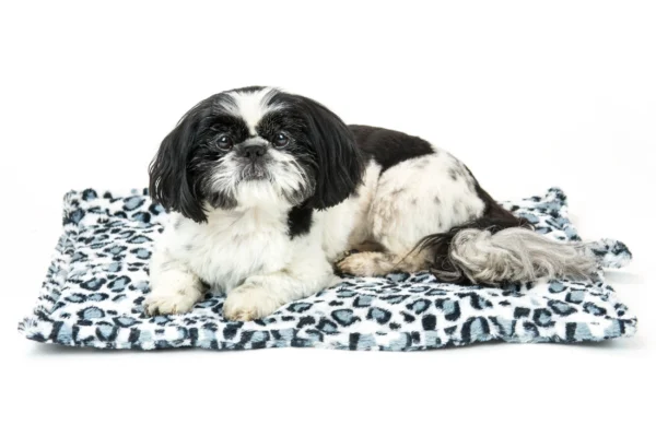 Faux Fur Self-Warming Pet Bed Mat - Image 17