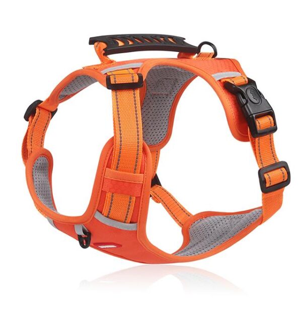 🐕No Pull Dog Harness for Pets - Image 9