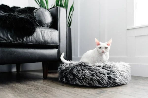 Fluffi Donut - Image 6
