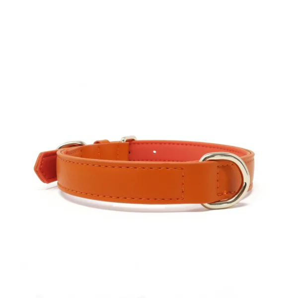 Collar - Tangerine Orange - Image 2