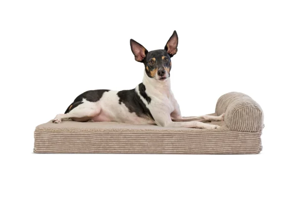 Chaise Lounge Dog Bed - Faux Fleece & Corduroy - Image 44