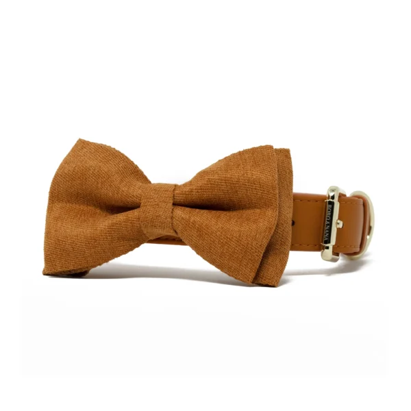 Bow Tie - Tangerine Orange - Image 6