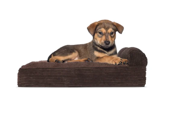 Chaise Lounge Dog Bed - Faux Fleece & Corduroy - Image 4