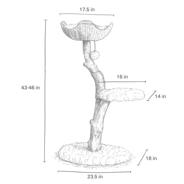 Uni - Image 12