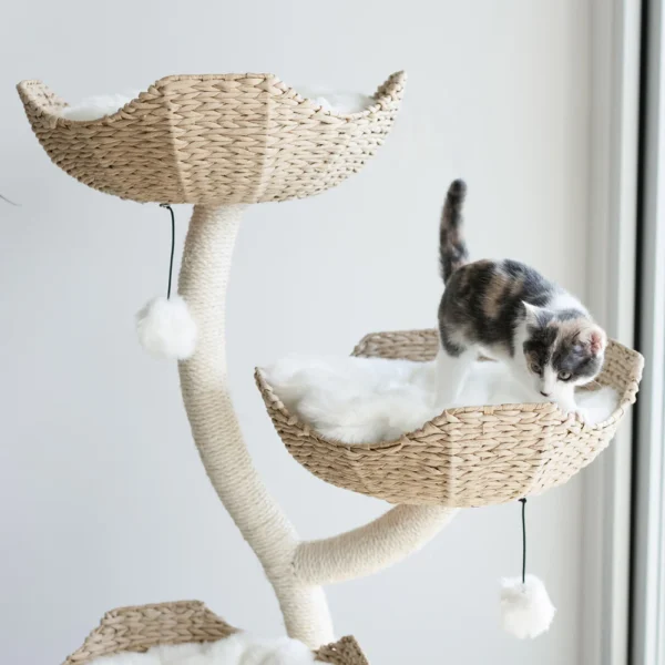 Ivy 3 - Image 2