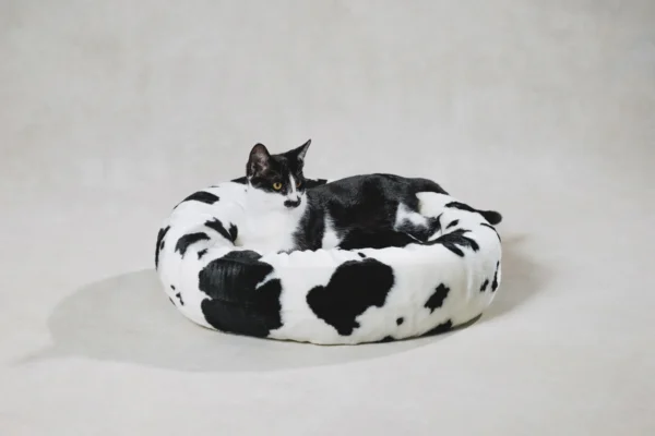 Fluffi Donut - Image 16