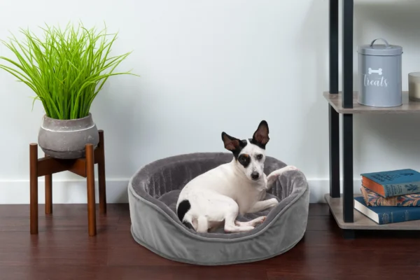 Oval Dog Bed - Plush & Velvet - Image 15