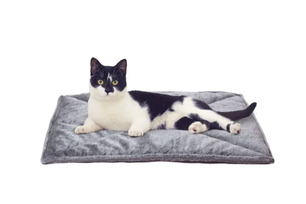 Faux Fur Self-Warming Pet Bed Mat - Image 35