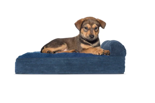 Chaise Lounge Dog Bed - Faux Fleece & Corduroy - Image 12