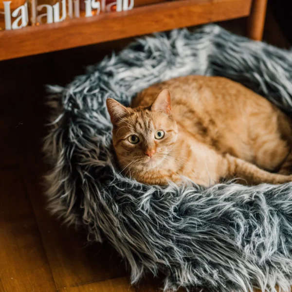 Fluffi Donut - Image 9