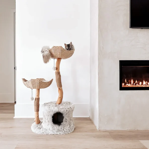 Cento - Image 9