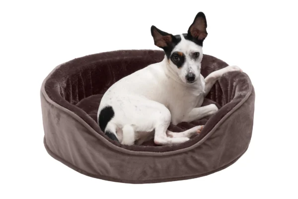 Oval Dog Bed - Plush & Velvet - Image 20