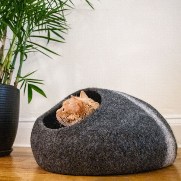 Horizon Cat Cave - Image 9