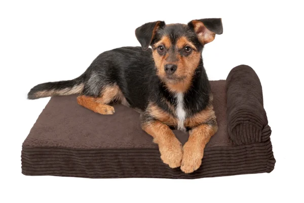 Chaise Lounge Dog Bed - Faux Fleece & Corduroy - Image 40