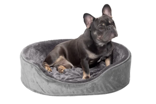 Oval Dog Bed - Plush & Velvet - Image 25