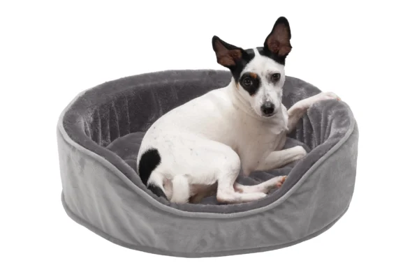 Oval Dog Bed - Plush & Velvet - Image 6