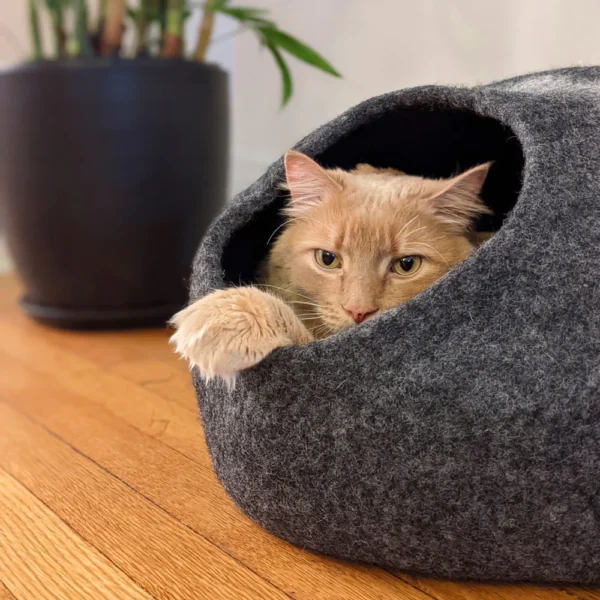 Horizon Cat Cave - Image 10