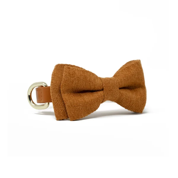 Bow Tie - Tangerine Orange - Image 4